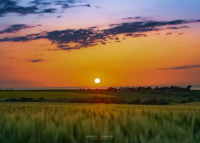 Marsvin * Glücksburg